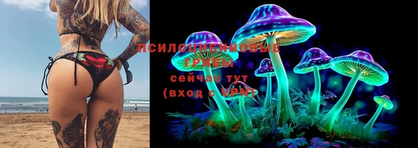 дмт Абинск