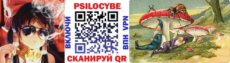 Галлюциногенные грибы GOLDEN TEACHER  как найти   Жердевка 